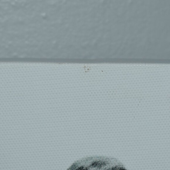 Rustic Country Cottage Farmhouse Cow In Bath Tub Canvas Art Wall Decor - Picture 6 of 8